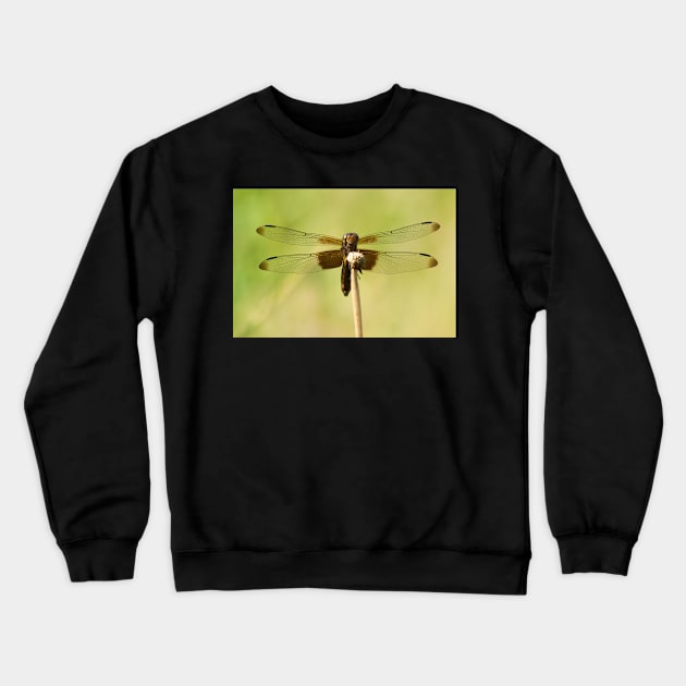 Dark Matter Crewneck Sweatshirt by EugeJ